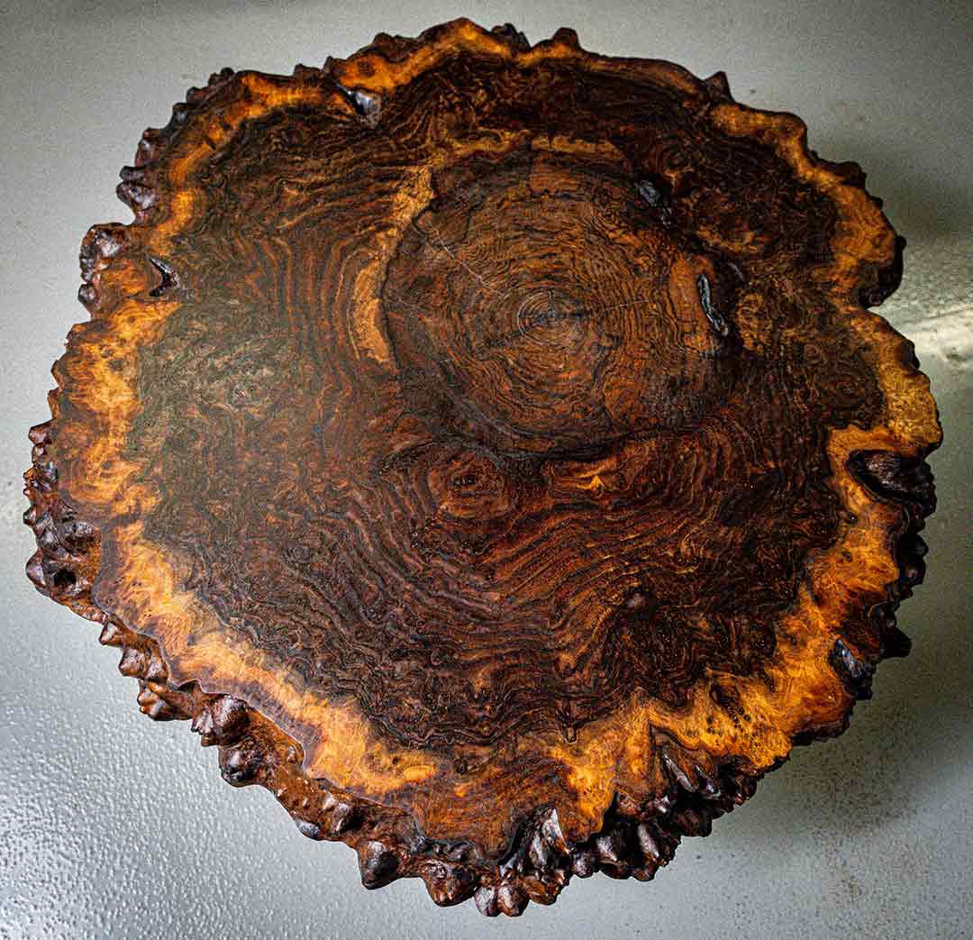 California Redwood Burl Coffee Table